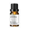 Aceite Esencial Natural de Origen Vegetal Monosabor para el Hogar, Habitación, Aceite Esencial de Grado Aromaterapéutico Derivado de Plantas Puras 10ml Mayoreo