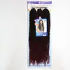 Trenzas Africanas Spring para suministro transfronterizo 200g 22" Peluca de fábrica al por mayor estilo de venta caliente