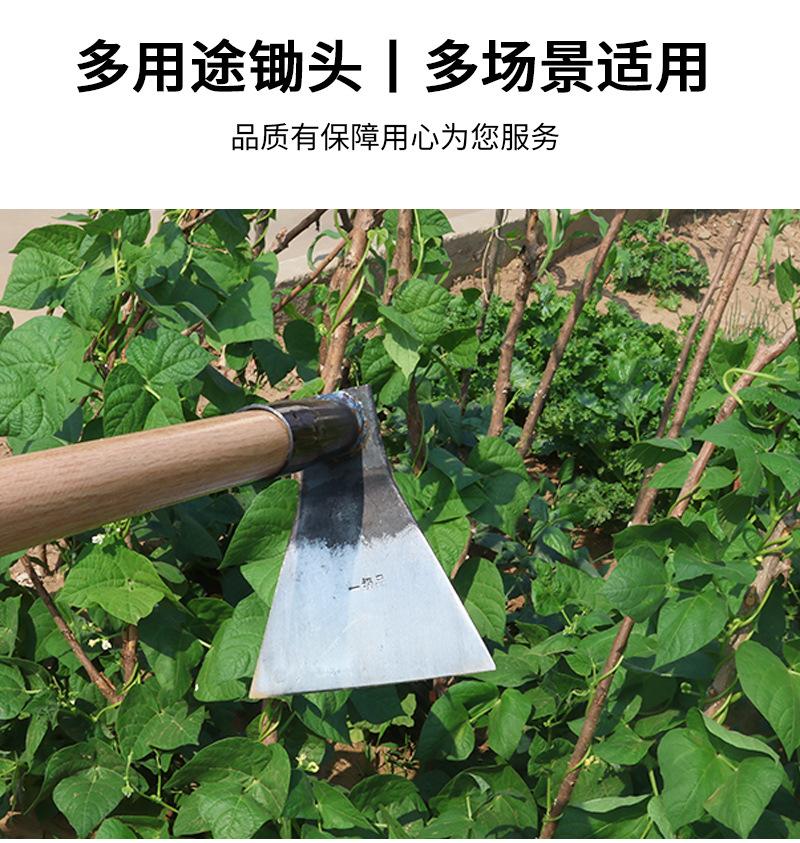 未标题-1_03.jpg