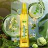 Folhas Verdes Amam a Vida Madressilva Flor Água de Orvalho Fresco e Confortável no Verão Plantas Herbáceas Duradouras Aromáticas Refrescantes e Desodorizantes