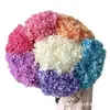 Hortênsia Flor Eterna Anna Hortênsia Bola Grande de Hortênsia Decorativa Artesanal DIY Material Sacola Outlet de Fábrica Yunnan