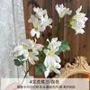 Orquídea Cola de Tigre de 4 Ramas Flor Artificial Decoración de Boda Arreglo Floral Decoración de Sala de Estar en Casa Flor Artificial Hecha a Mano Decoración de Boda Transfronteriza