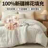 Colcha de Algodón 100% de Xinjiang Clase A Colcha Pura de Algodón para Primavera y Otoño Colcha Gruesa Cálida de Invierno Núcleo de Colcha 100% Algodón Colcha de Algodón para Dormitorio de Estudiantes 4