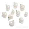 Colgante de Caracola Pequeña Caracola Blanca Accesorios de Joyería Semi-Terminados Material para Manualidades de Caracolas Colgante