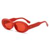 24 nuevas gafas de sol de estilo coreano con montura ovalada pequeña, de alta calidad y estilo de marca, para damas, de comercio exterior.