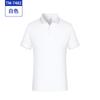 Camisa Polo de Manga Curta Sem Costura para Âncora de Notícias CCTV Roupas de Trabalho Logo Bordado Gola Camisa Publicitária Roupas de Trabalho
