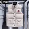 Otoño e Invierno 2025 Nuevo Chaleco de Plumas del Noreste para Hombre Chaleco Grueso sin Mangas con Cuello Alto Chaleco Chaqueta Cálida para Mujer