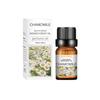 Aceite Esencial de Planta de Aromaterapia Soluble en Agua Perfumeoil Perfume Aceite Esencial de Aromaterapia Fragancia de Larga Duración Aceite Esencial de Aromaterapia Fresco