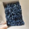 Anna Hortênsia 20G/Caixa Flor Imortal Flor Eterna Caixa de Presente Material de Flor Flor Seca Flor Preservada Material de Flor Imortal