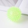Juguete para Mascotas Transfronterizo Juguete para Masticar Bola Molar Resistente a Mordidas de Perro Bola Elástica Material TPR Juguete para Perro Bola de Masaje