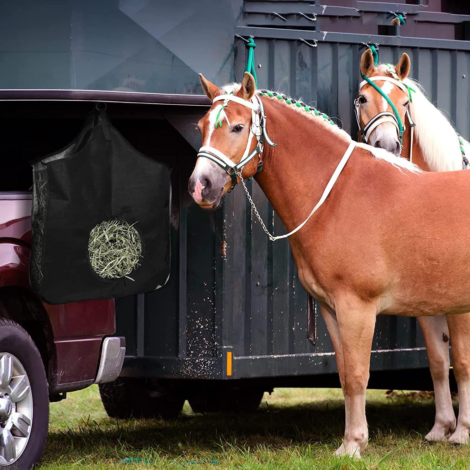 810lUdGrPwL._AC_SL1500_