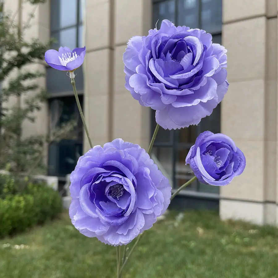 4头小茶花-xwmwpx-深紫.JPG