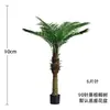 Coqueiro Falso Coqueiro Palmeira Areca Tropical Vaso de Chão para Sala de Estar Planta de Casa Planta Verde Paisagem Doméstica