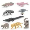 Set de 8 Figuras de Fauna Sudamericana Figuras de Animales de PVC Incluye Delfín Caimán Capibara Perezoso Jaguar Oso Hormiguero y Más Educativo T