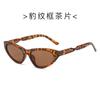 2023 nuevas gafas de sol PC transfronterizas gafas de sol personalizadas de montura pequeña triangular Fabricantes de gafas de sol de moda al por mayor