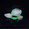 Venda Direta de Fábrica de Decorações para Aquário, Plantas Aquáticas Artificiais de Silicone com Efeito Fluorescente - Coral Tapete