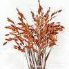 Pequena Amor-perfeito Flor Eterna, Erva-da-geada, Acessórios para Arranjos Florais, Arranjos de Flores Secas DIY Vitrine Casamento Decoração de Casa