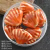 Cuentas Sueltas de Cerámica con Borde de Abanico Retro de Colores Paquete de Materiales Caseros para Estudiantes Cuentas de Concha con Agujero Grande Accesorios para Collares de Mano