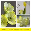 Colorante para flores, absorbente de color para rosas, solución absorbente de color, tinte, colorante para ramos y floristerías