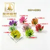 Modelo de Cacho de Flores em Miniatura, Ornamento de Bola Espigada de Flores, Modelo de Construção Artificial, Folhagem de Bola Espigada, Cena em Miniatura DIY, Flores Plásticas