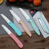 Suministro para Supermercado Cuchillo para Fruta Cuchillo Pelador Hogar Cocina Plegable Cuchillo de Cocina Acero Inoxidable Cuchillo para Melón y Fruta Portátil Pequeño Cuchillo Plegable