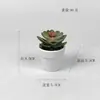 Suculentas Artificiais em Vasos de Barro, Mini Flores Artificiais, Flores Artificiais Transfronteiriças, Enfeites para Decoração de Casa, Plantas Verdes, Bonsai, Biomimético