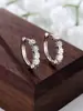 Pendientes de Plata de Ley S925 Europeos y Americanos Transfronterizos de Medio Círculo Pequeño de Circonio Pendientes Simples Dulces de Flor Fresca Nicho