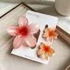 Conjunto de Presilhas de Cabelo Doces de Frangipani Estilo Verão Transfronteiriço, Grampo para a Parte de Trás da Cabeça, Presilha Tubarão, Acessório de Cabelo de Flor de Acrílico