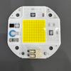 Ac220V Fuente de Luz de Alto Voltaje Sin Controlador Perlas de Lámpara Integradas 20W30W50W Perlas de Lámpara Led de Alta Eficiencia Cob de Espectro Completo
