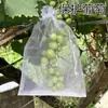 Bolsa de Malla Transparente para Frutas a Granel, Anti-Pájaros e Insectos, con Cordón, Transpirable, para Uvas, Melocotones, Higos