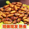 Crispy Pupas de Bicho da Seda Prontas para Comer Fritas com Cinco Especiarias Pequenas Pupas de Bicho da Seda Lanche Picante para Bebidas Especialidade de Shandong Lanche Alimentício Cozido para Uso Comercial