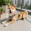 Nuevo Arnés para Mascotas, Arnés con Correa para Perros, Antishock, Transpirable, No Estrangula el Cuello, Suave y Cómodo, Suministros para Mascotas