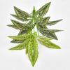 Simulação de novo produto transfronteiriço Planta verde Planta falsa Luz Planta em vaso de luxo Decoração para casa Jardim Paisagismo Folha de taro
