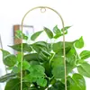 Soporte Metálico en Forma de U para Trepar Plantas Decoración de Macetas de Cerámica Molde de Arcoíris de Cristal Pequeño para Jardín en Maceta