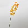 Orquídea wan dai atacado atmosfera de casamento adereços de fotografia de orquídea arte floral arranjo de flores orquídea flor falsa
