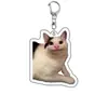 Rana Acrílico Souvenir Mascota Perro Expresión Perro y Gato Colgante Creativo Foto Llavero Otros