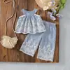 Conjunto de Duas Peças Exclusivo Transfronteiriço Primavera/Verão 2026: Top com Bordado Pesado e Manga Volumosa + Calça Casual de Corte Reto para Bebês e Crianças