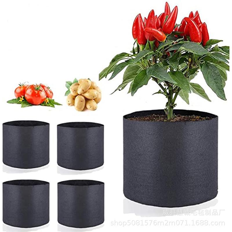 植物桶10