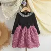 Falda Nueva Estilo Otoño e Invierno para Niñas Vestido de Princesa Infantil Vestido Rosa para Bebé Vestido para Niña Pequeña Ropa Infantil Transfronteriza