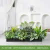 [Série Hc-An7] Caixa de Flores de Planta Verde Simulada Decoração de Sala de Estar Interna Janela de Chão a Teto Paisagismo Fotografia de Casamento Estrada