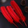 Pluma de nido de pavo pluma pluma de pavo tocado indio DIY alas de ángel pluma de ave materiales decorativos hechos a mano