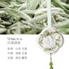 Nuezas Piezas Colgantes de Yeso Aromaterapia Estilo Nacional Chino Desodorante Duradero para Armario Fresco y Expansivo Fragancia Decoración Colgante Regalo de Acompañamiento Festivo Fragancia