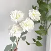4 Rosas Artificiais com Bordas Queimadas para Decoração de Casamento, Decoração de Hotel e Casa, Arranjo Floral, Rosas Vintage na Cor Café de Outono