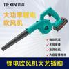 Secador de Pelo con Batería de Litio para Comercio Electrónico Transfronterizo de Exportación con Enchufe y Toma de Corriente Grandes, Secador de Pelo con Batería de Litio para Eliminación de Polvo y Soplar Ceniza