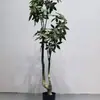 Venta al por mayor de fábrica árbol de la fortuna de simulación árbol falso planta de simulación planta verde de sentido avanzado decoración de hogar hotel flores artificiales