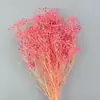 Arranjo de Flores para Decoração de Casa, Estilo Fresco e Natural, Flores Preservadas, Buquê Sonhador de Gipsofila Estrelada Atacado