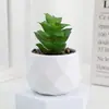 Plantas suculentas artificiales en stock en macetas de plástico imitación cerámica con forma de diamante, artículos decorativos y ornamentales populares transfronterizos para venta al por mayor