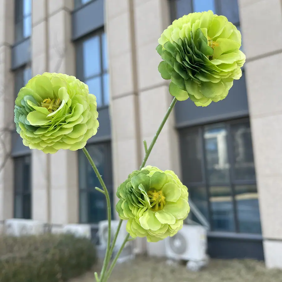 3头特慧丁香花-绿色.JPG