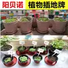 Planta Enchufe Enchufe Enchufe Enchufe Enchufe Enchufe Enchufe Maceta Enchufe Enchufe Enchufe Enchufe Enchufe Enchufe Fábrica Directa Venta al Por Mayor Soporte de Jardinería