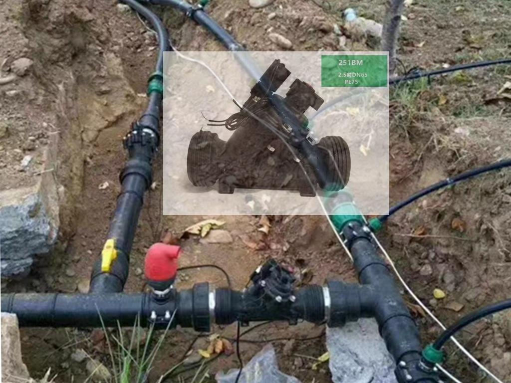 微信图片_20181201141824_副本